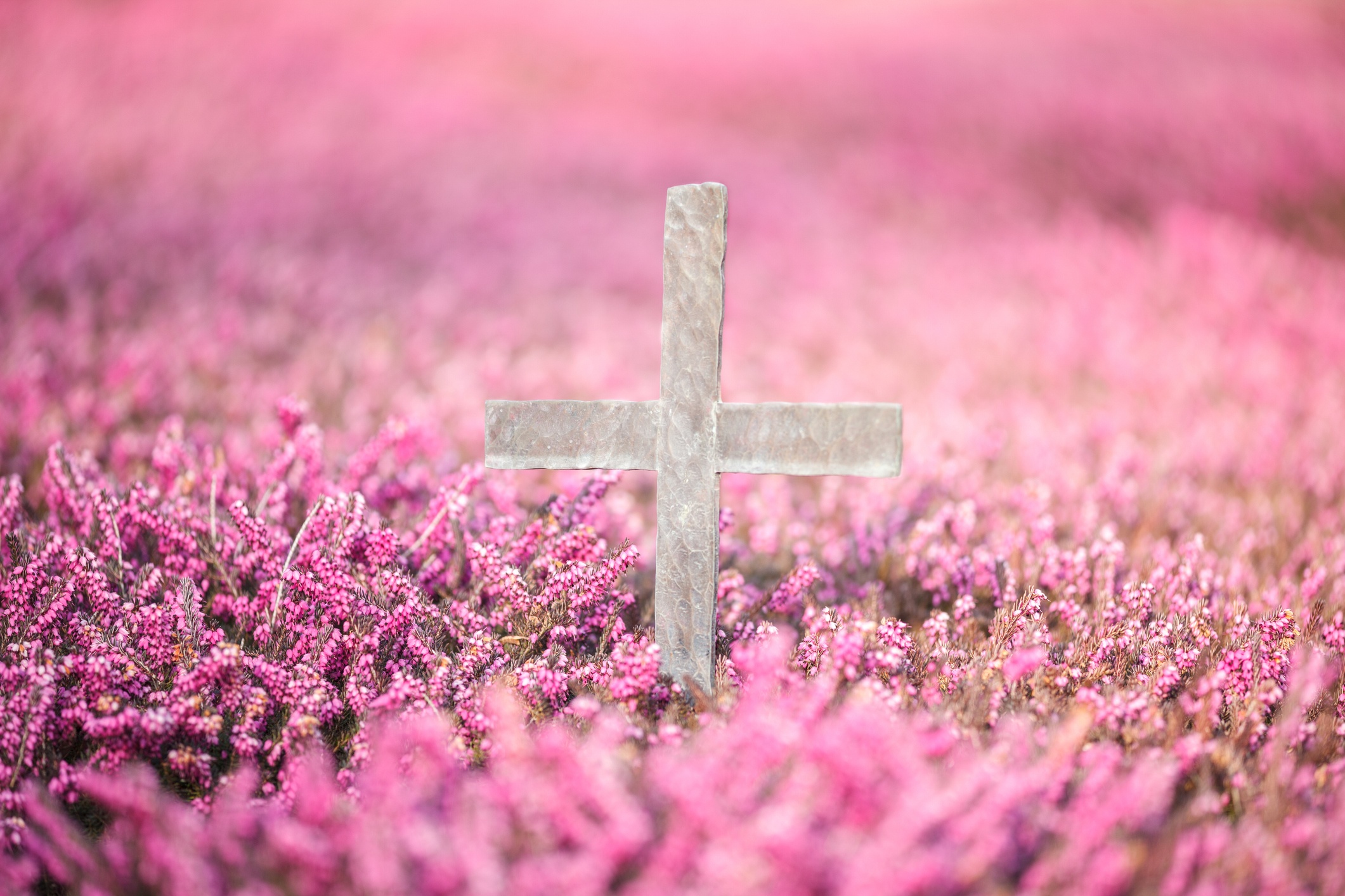 Günstige Feuerbestattung Marl ab 1099 Euro - Bestatter FreiPfad mit Blumenschmuck